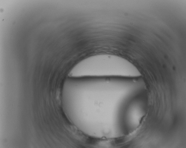 X0000062920178200601202011