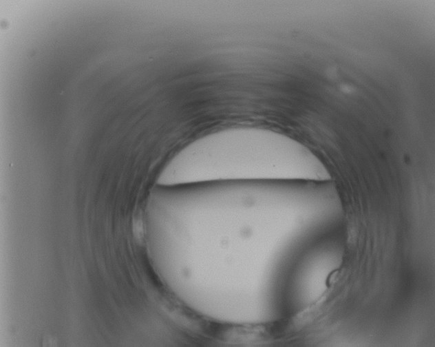 X0000062920179200601202011