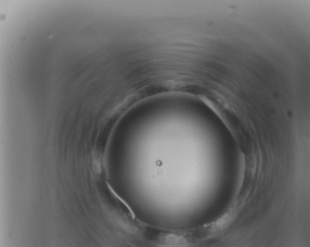 X0000062920180200601202011