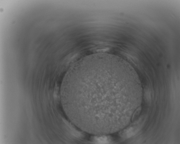 X0000062920181200601202011