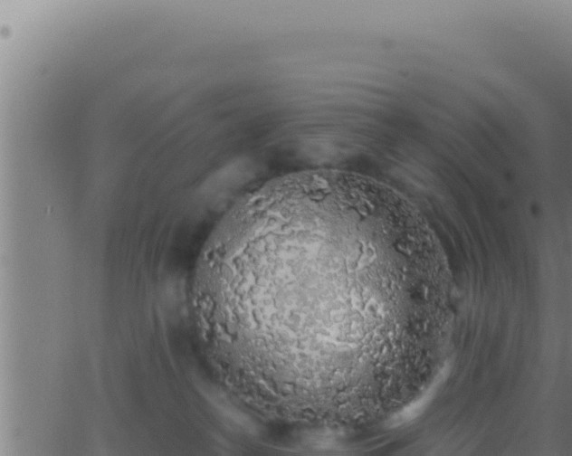 X0000062920182200601202011