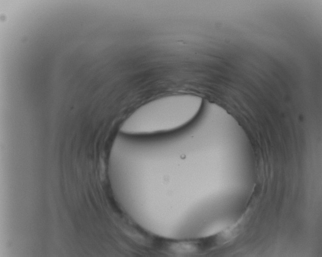 X0000062920183200601202011