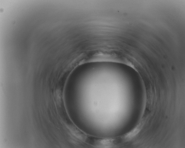 X0000062920184200601202011