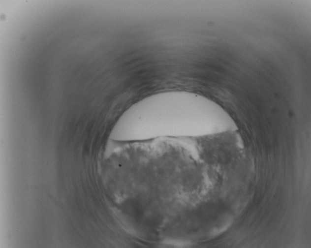 X0000062920185200601202011