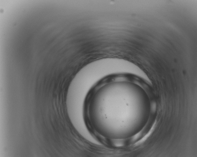 X0000062920186200601202011