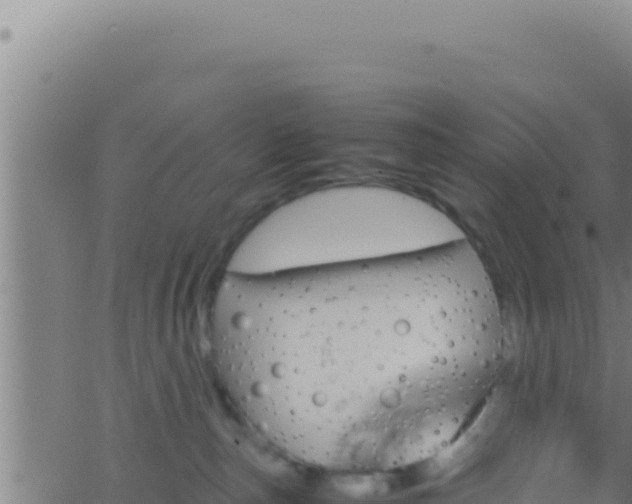 X0000062920187200601202011