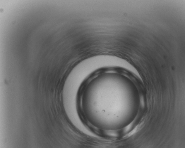 X0000062920188200601202011