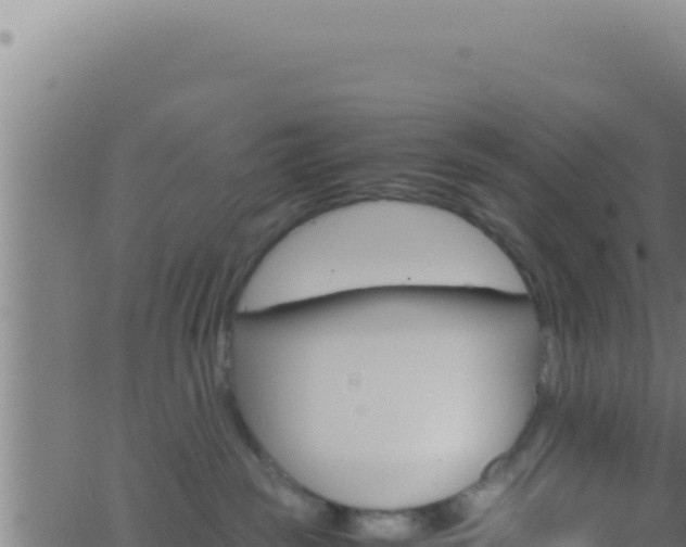 X0000062920189200601202011