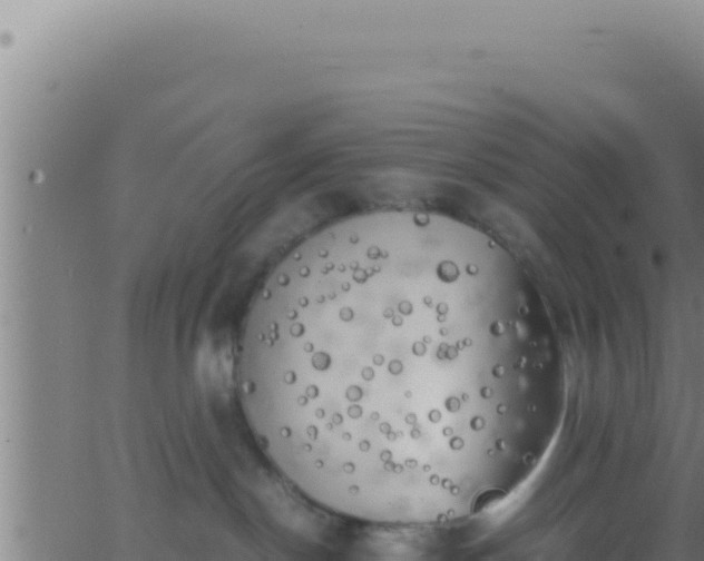 X0000062920190200601202011