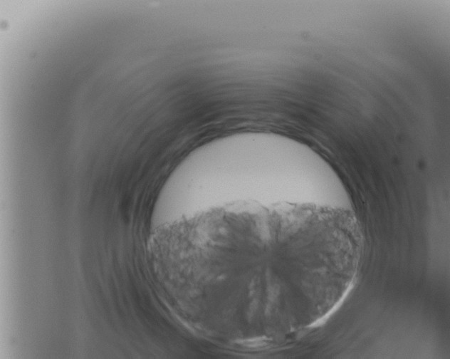 X0000062920191200601202011