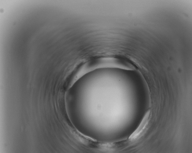 X0000062920192200601202011