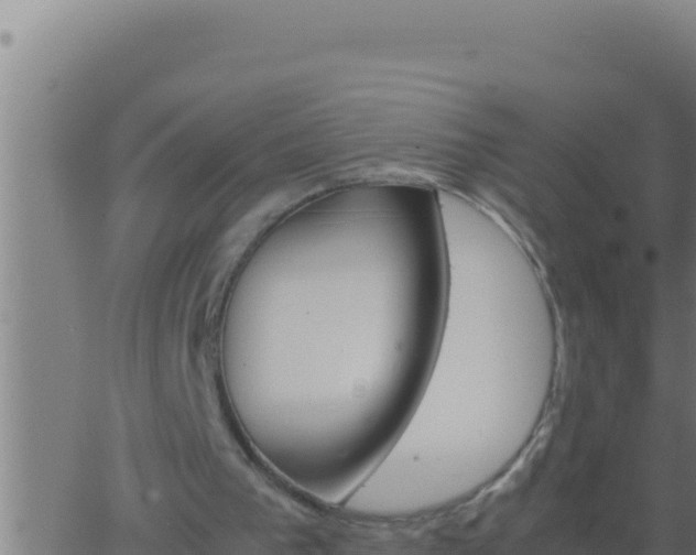 X0000062920193200601202010