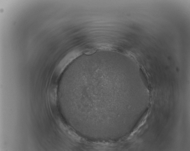 X0000062920194200601202010