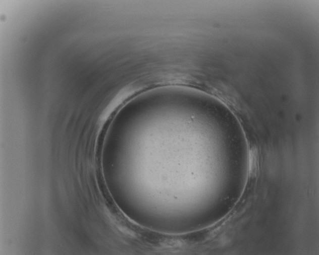 X0000062920195200601202010