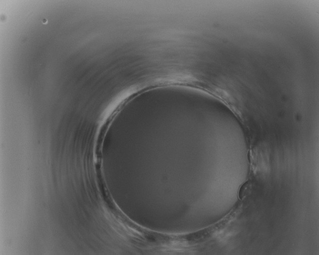 X0000062920196200601202010