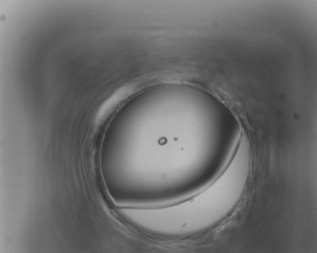 X0000062920197200601202010