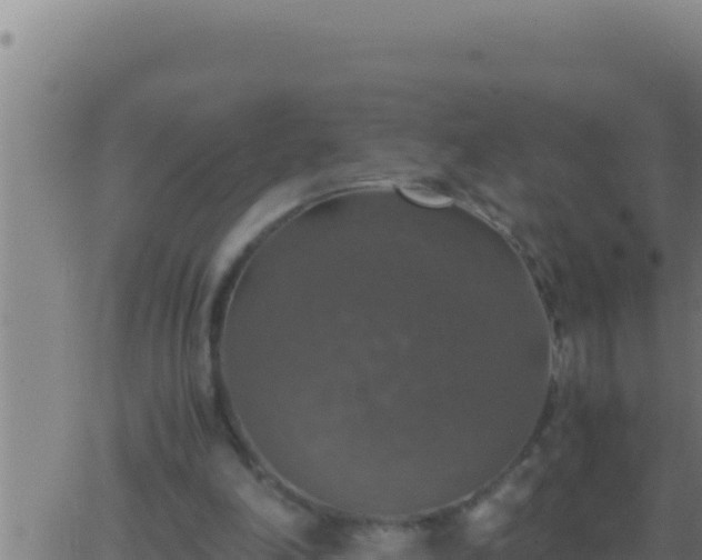 X0000062920198200601202010