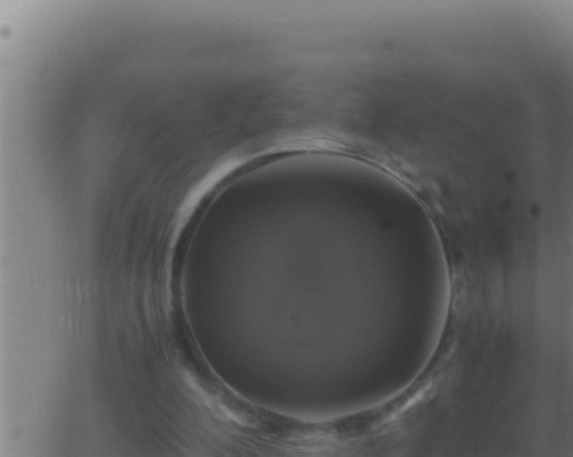 X0000062920200200601202010