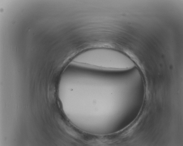 X0000062920201200601202010