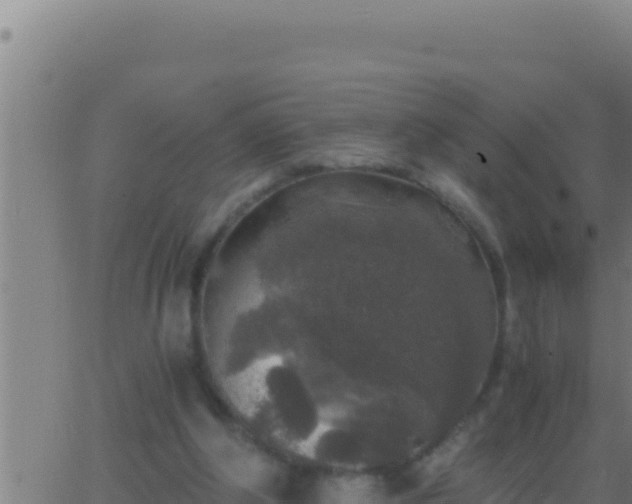 X0000062920202200601202010