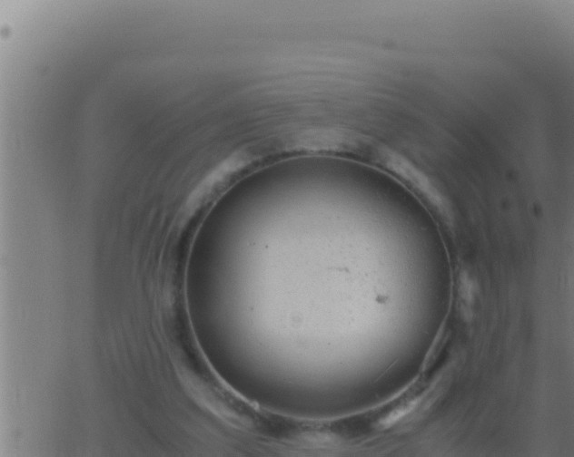 X0000062920203200601202010