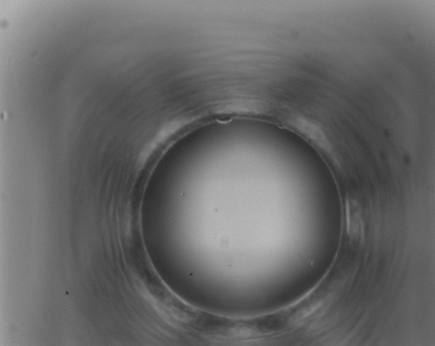 X0000062920204200601202010