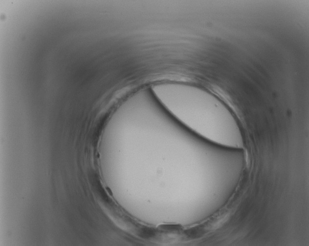 X0000062920205200601202010