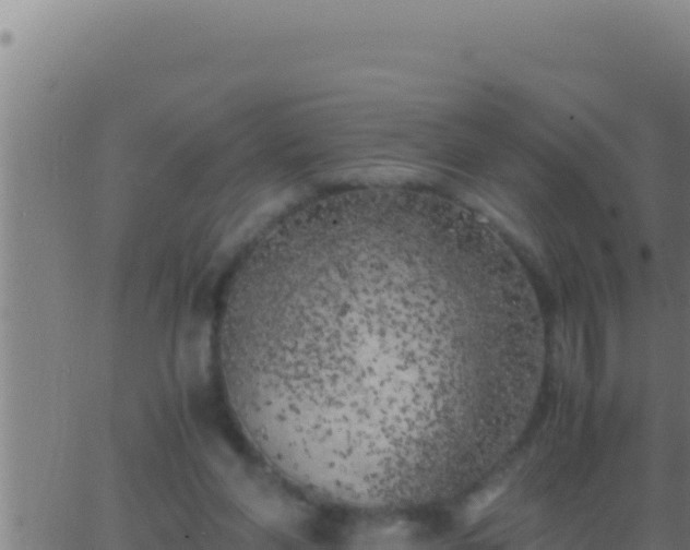 X0000062920206200601202010