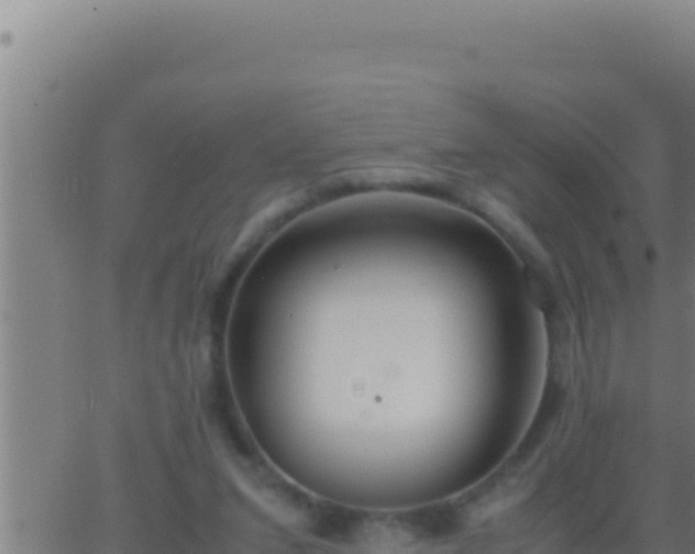 X0000062920207200601202010