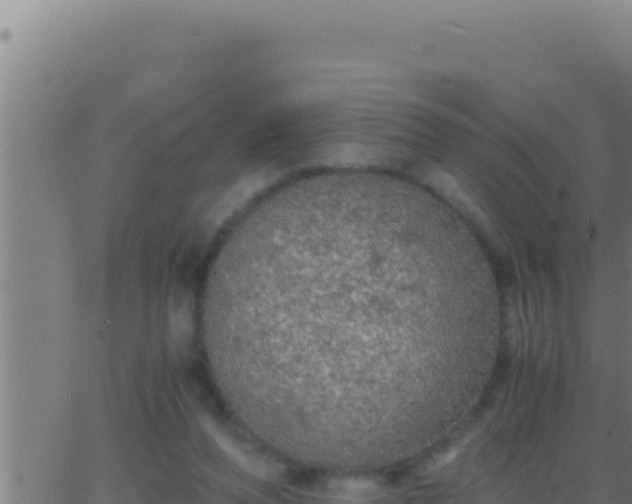 X0000062920208200601202010