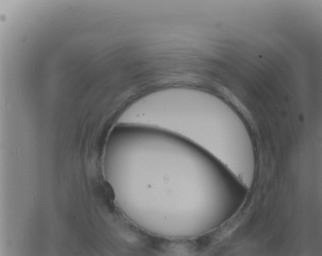 X0000062920209200601202010