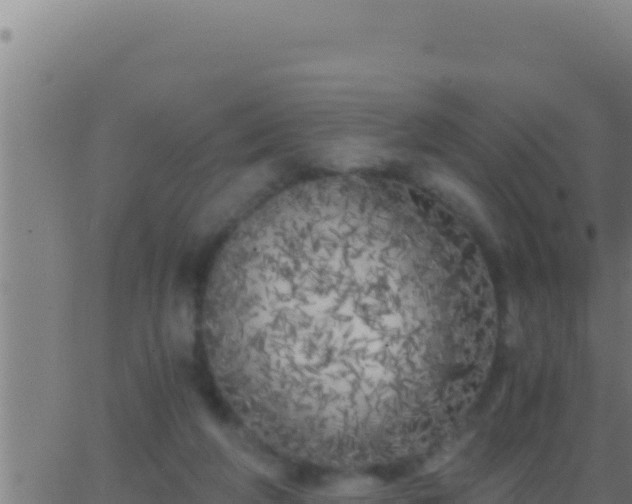 X0000062920210200601202010