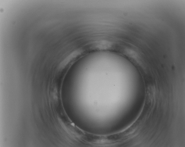 X0000062920212200601202010