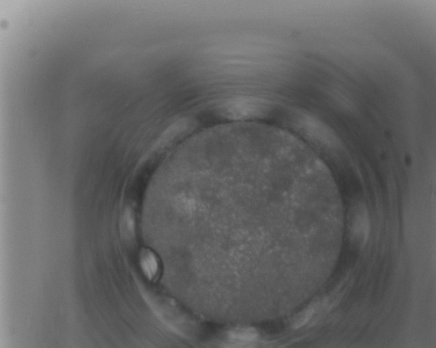 X0000062920214200601202010