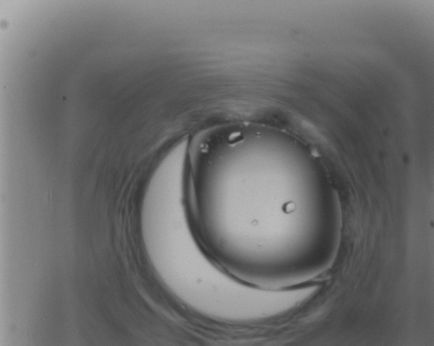 X0000062920215200601202010