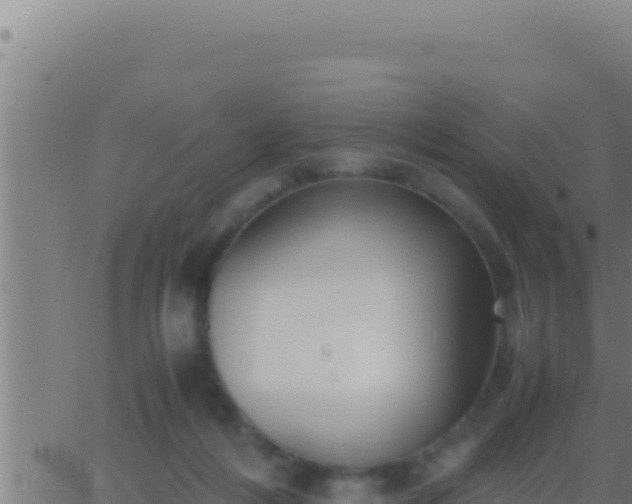 X0000062920216200601202010