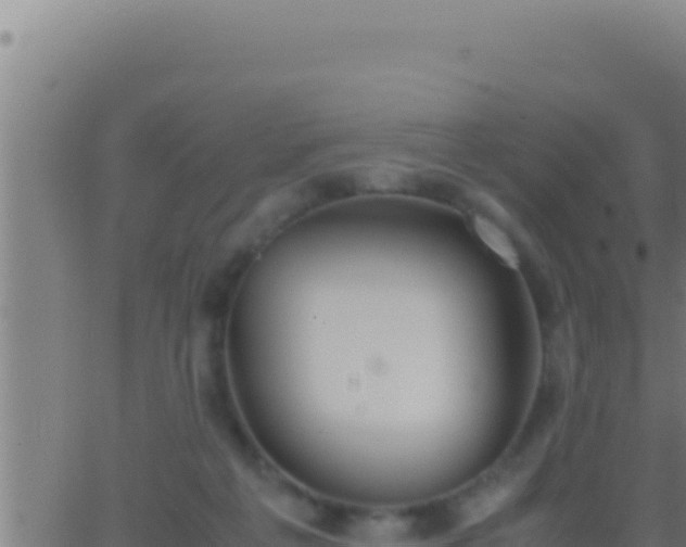 X0000062920217200601202010