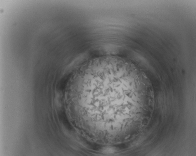 X0000062920218200601202010