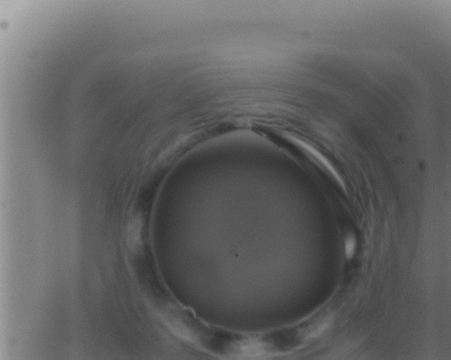 X0000062920219200601202010