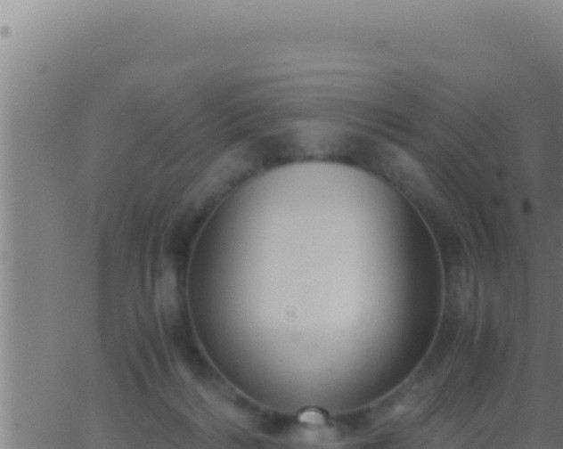 X0000062920220200601202010