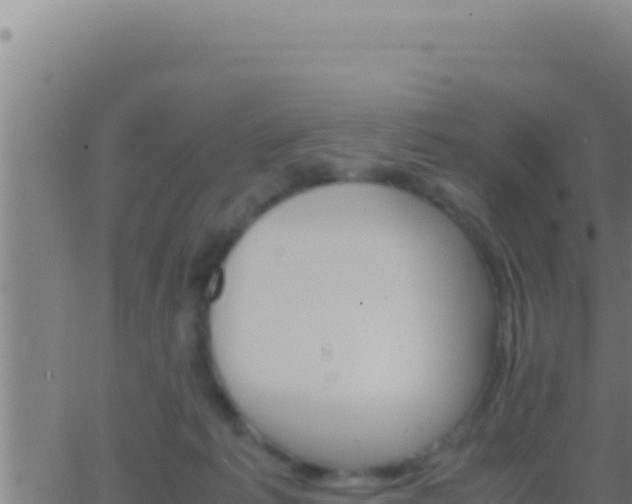 X0000062920221200601202010