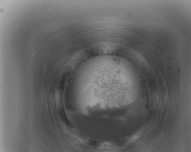 X0000062920222200601202010