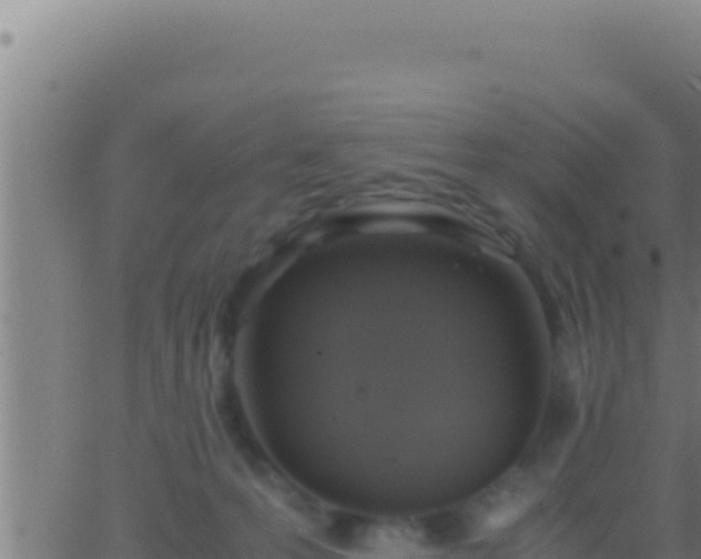 X0000062920223200601202010