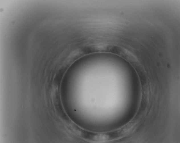 X0000062920225200601202009