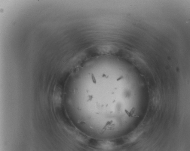 X0000062920226200601202009