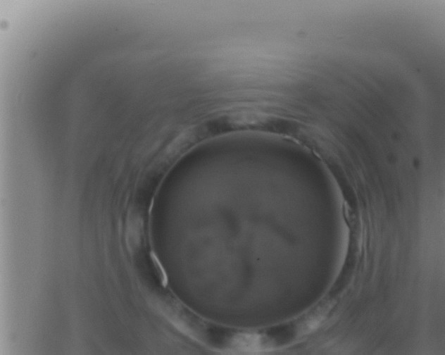 X0000062920227200601202009