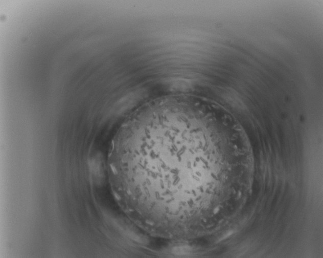 X0000062920228200601202009