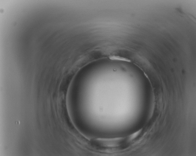 X0000062920229200601202009