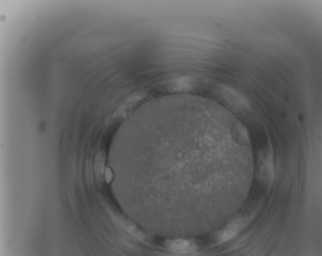 X0000062920230200601202009