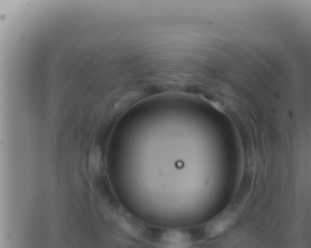 X0000062920231200601202009